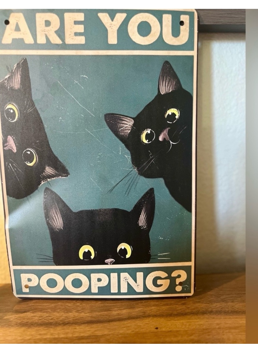 HUMOR- Cat tin sign, “Are you pooping” Decorative, Bathroom, Home Decor